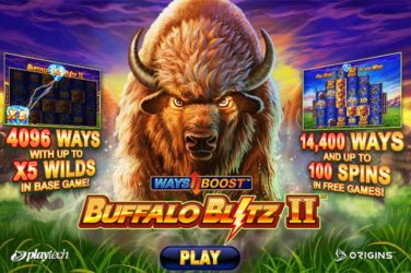 Buffalo blitz 2